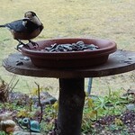 くつきそば 永昌庵 - 