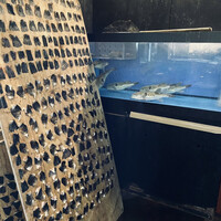 カニとフグの専門店 福島かにふぐ家 - 