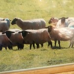 いただきます。 - 