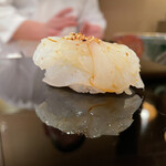 登喜和鮨 - 新潟産雷烏賊