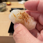 登喜和鮨 - 新潟産雷烏賊