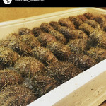 登喜和鮨 - お店公式より佐渡産沖馬糞雲丹