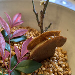 ラ・トゥーエル - 