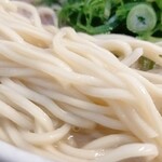 徳島ラーメン ふじい - 麺アップ