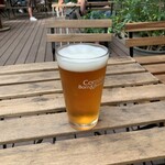 PIZZA REPUBLIC - Otus Lolipa IPA International 4.5% ABV 45 IBU