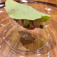 ル スプートニク - 