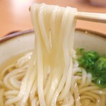 麺通堂 - 細麺　　にょ〜ん( ´ ▽ ` )ﾉ