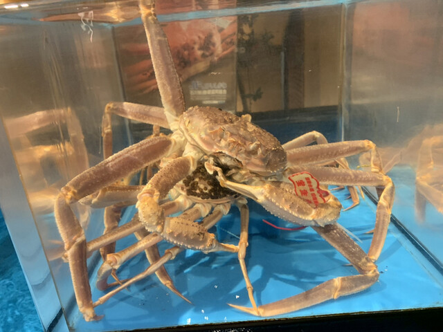 八千代 甲羅本店 やちよ こうらほんてん 八千代緑が丘 かに ネット予約可 食べログ 八千代 甲羅本店 やちよ こうらほんてん 八千代緑が丘 かに ネット予約可 食べログ
