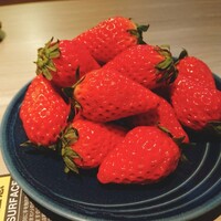 niku no OTO - 