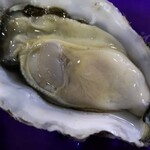 Aptus Seafoods - Bateman's Bay Oyster