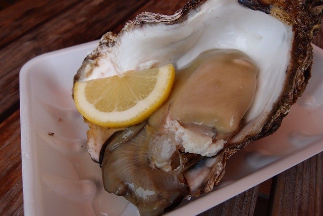 おさかな市場 - 羽前大山（その他）の写真