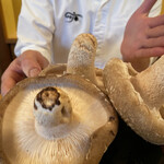 GEJO - 椎茸村の原木しいたけ