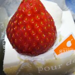 サン・フルーツ - 