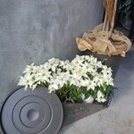 路地裏のメルカド - ニューキッチン ウィー