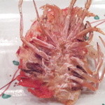 シェラトン都ホテル大阪 鉄板焼 松阪 - 