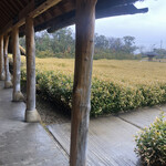 ラ コリーナ近江八幡 - 