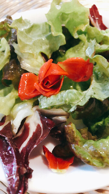 trattoria & ber elmo（エルモ） - 白石（イタリアン）の写真