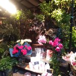 Aoyama Flower Market TEA HOUSE - 