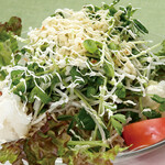 Shikitei style soba salad
