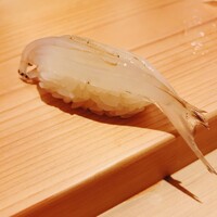 江戸前鮓 すし通 - 白魚