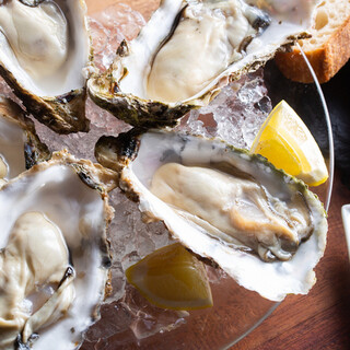 [Popular Oyster] Relax with the finest wine...