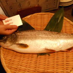 南洲 - 2012/08/25　大きなさつきます。。。（あまご）色々な呼び方！！