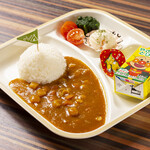 kids curry plate