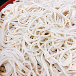みのがさ - そばの感じ