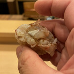 鮨駒 - 牡丹海老