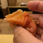 Sushi Koma - 青森の赤貝