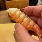 鮨駒 - 天草の車海老