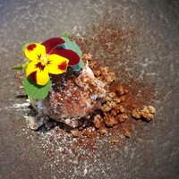 La Brianza - 見目美しいティラミス。気持ちが上がりますね♡ 添えてあるショコラかなのアイスあるいはクランブルも合うしブリアンツァのティラミスふんわりミルキー大好きおいしいおいしい(≧▽≦)