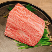 USHIGORO S. NISHIAZABU - 