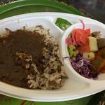 女王さまのスパカリー - カレーは最初はそんなにスパイシーに感じませんでしたが中辛とは言え食べてる間にかなり辛く感じましたよ。