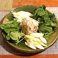 柚木元 - 野菜（ささがき牛蒡、ルッコラ、ちぢみホウレン草、葱）