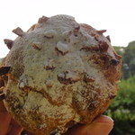 レ・グーテ - シュークリーム