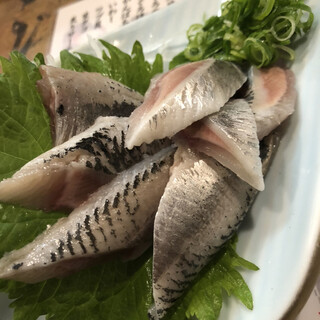 立ち寿司 まぐろ一徹_1