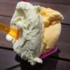Fritz Gelato - 料理写真:Green Apple & Mango Tango