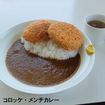 カレーとパスタの店 みみか - 