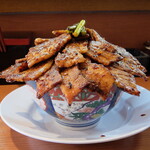 豚丼専門店 木ノ下 - 