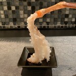 KOTETSU - 松葉蟹のお造り