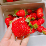 姫路ハートフル観光農園 - 