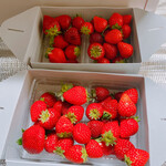 姫路ハートフル観光農園 - 