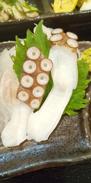 Saki 明石 鱼类料理 海鲜料理 食べログ 简体中文 Saki 明石 鱼类料理 海鲜料理 食べログ 简体中文