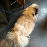 バーグハック - リラックス～