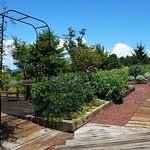Villa d'Est Gardenfarm And Winery  - 庭園