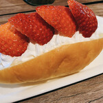 高虎DOG - 