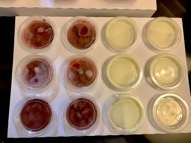 燦燦園（さんさんえん） - 浜吉田（その他）の写真