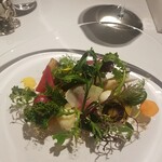 レフェルヴェソンス - 