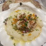 レフェルヴェソンス - 